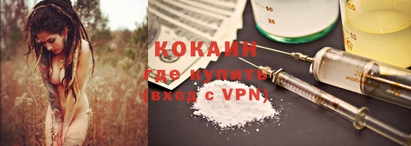 a pvp Бородино